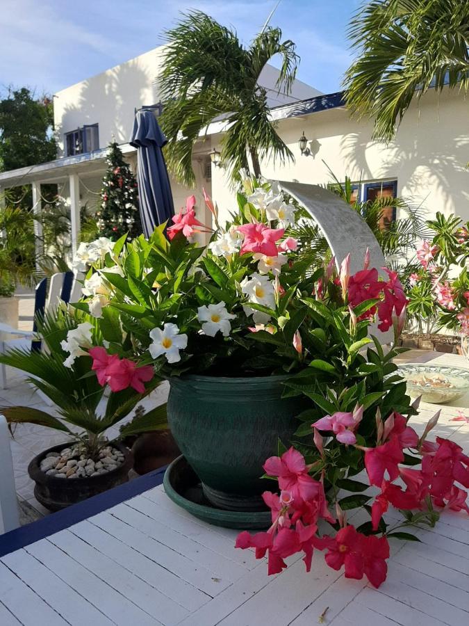 Palmita Hotel Hostel Oranjestad Exterior photo