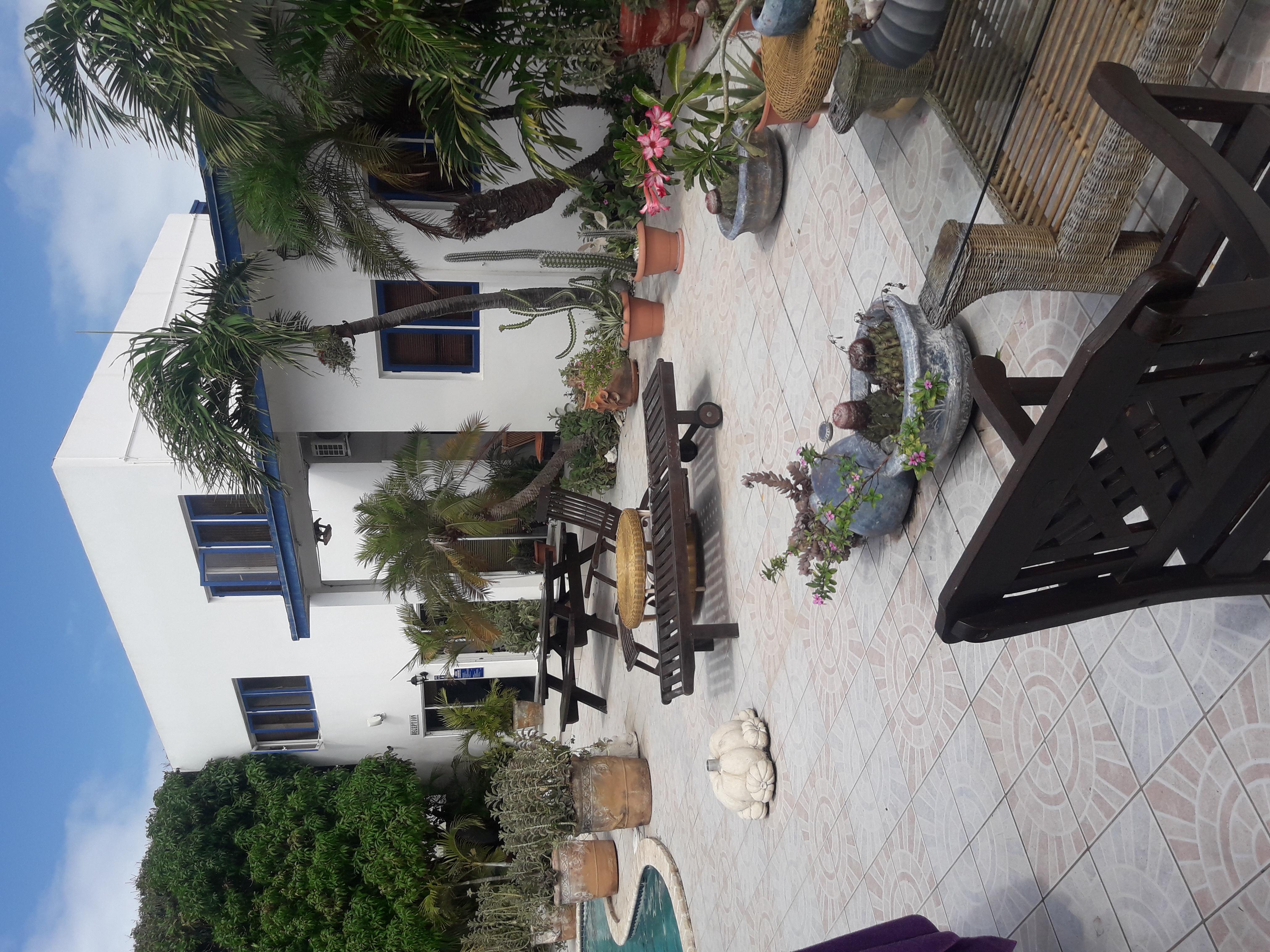 Palmita Hotel Hostel Oranjestad Exterior photo