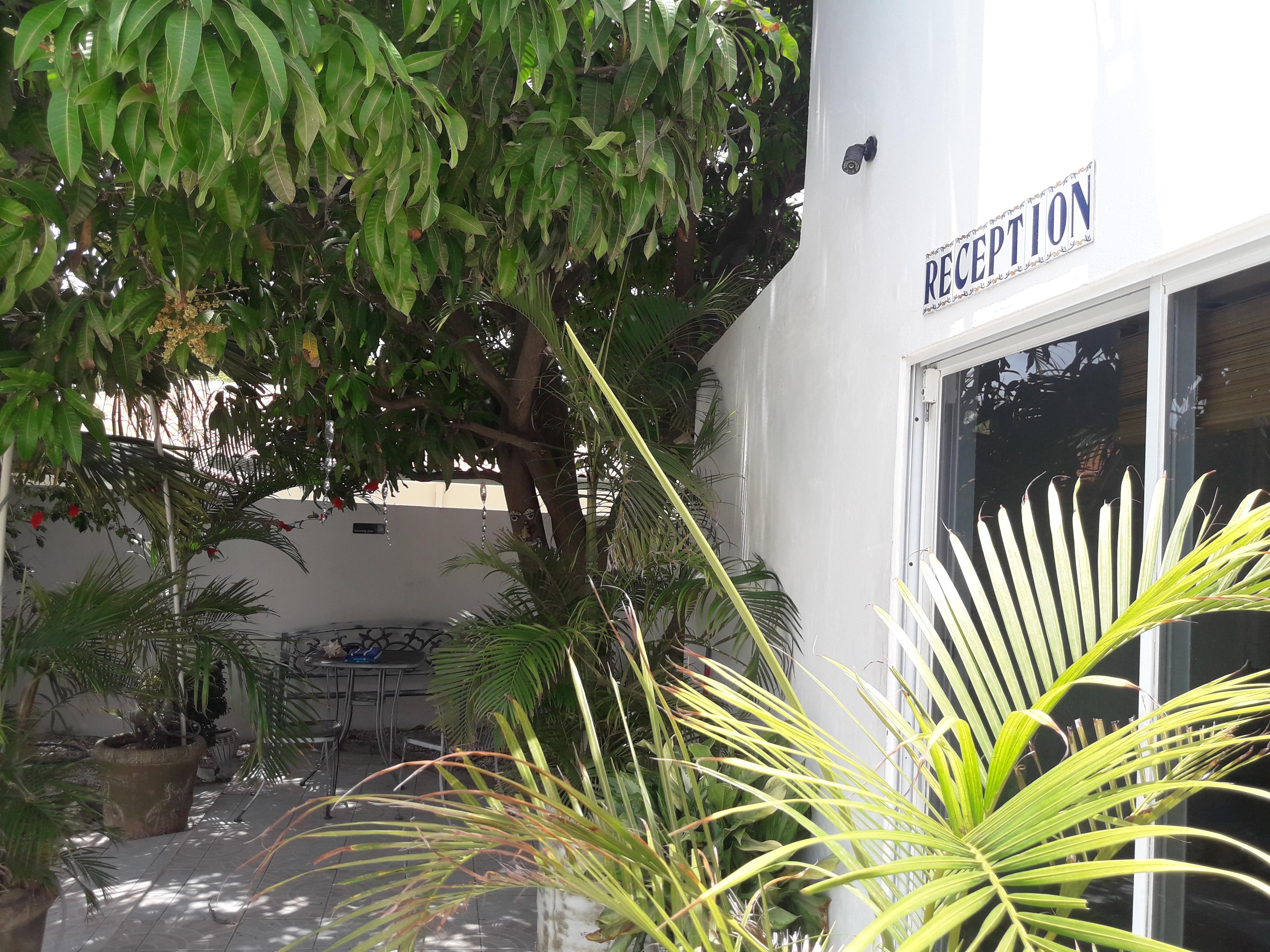 Palmita Hotel Hostel Oranjestad Exterior photo